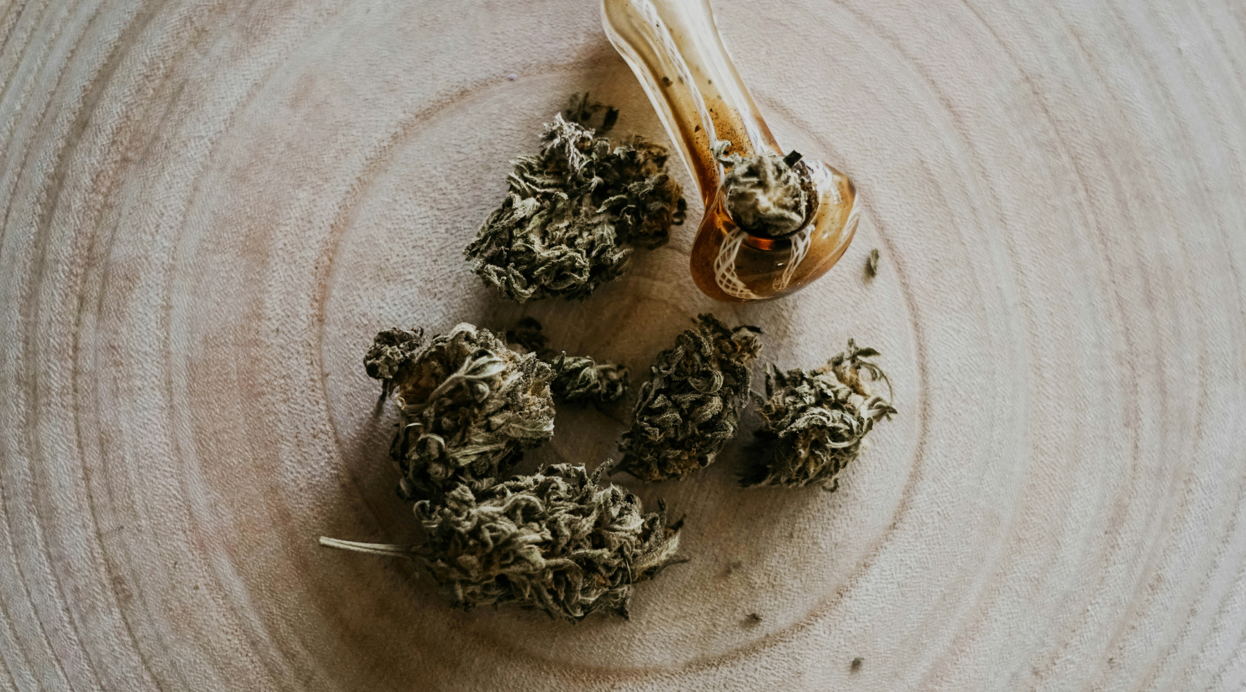What Is Hemp? Everything You Need to Know About This Powerhouse Plant (2025)