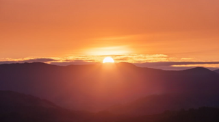 Best Cannabinoids to Start Your Day with Calm Energy (2025 Morning Guide)