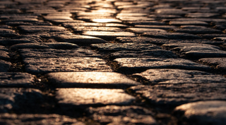 Daily Hemp Habits to Stay Grounded in a Chaotic World (2025 Calm Living Guide)