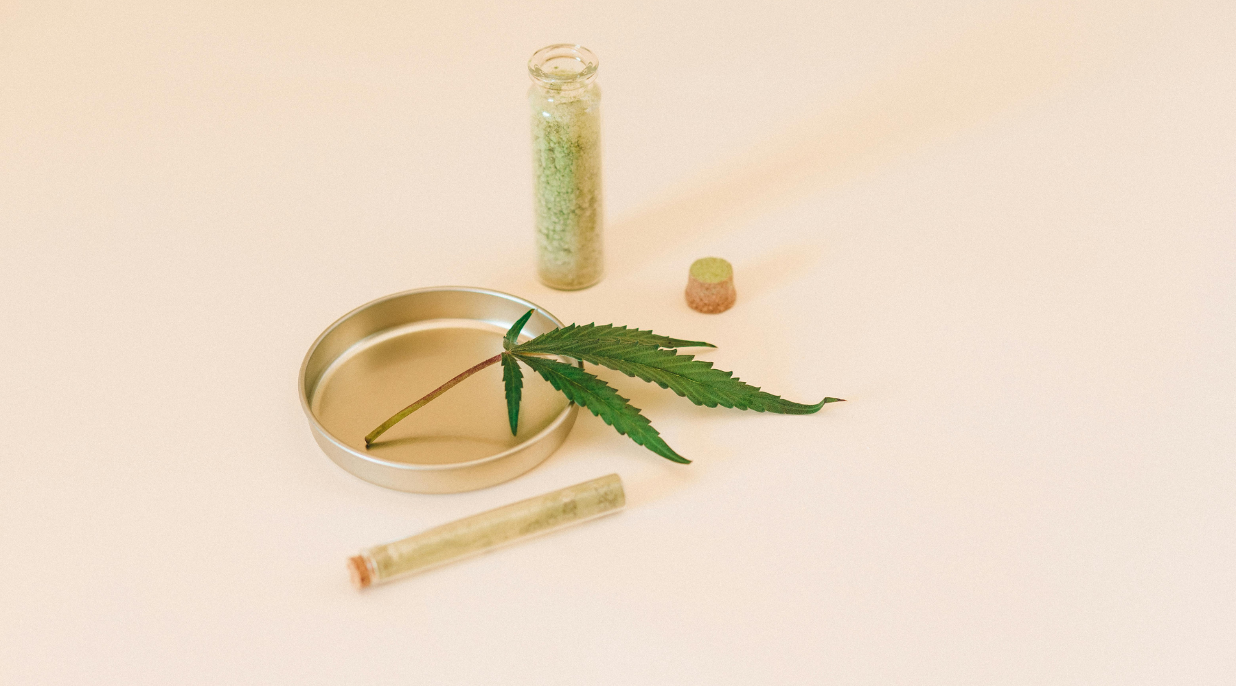 Confused About Hemp Extract vs CBD? You’re Not Alone (Here’s the Fix)