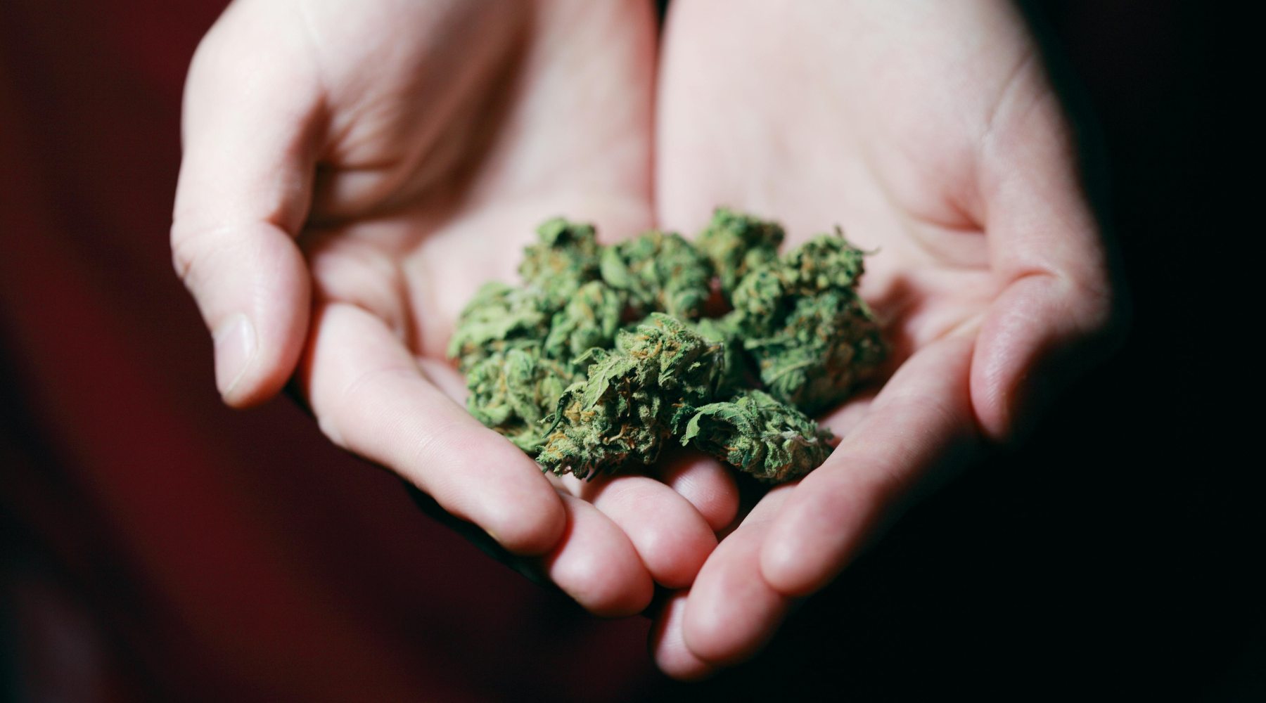 What Does “Hemp-Derived” Mean? A 2025 Guide to Understanding Your Wellness Labels