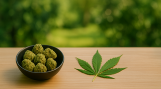 Is THCa the Same as CBD? Here’s the Real Talk (No Science Degree Needed)