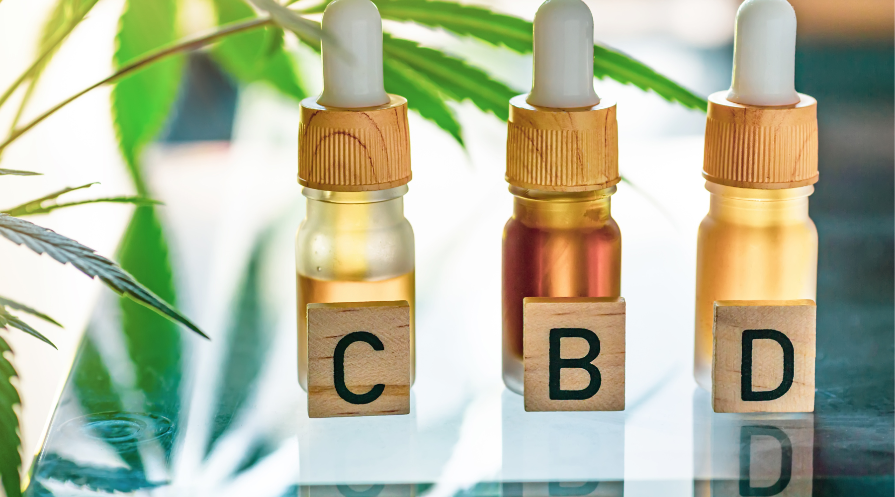 CBD Myths Debunked