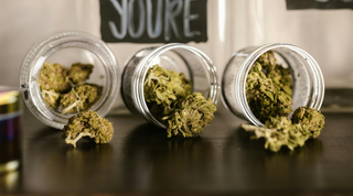 CBD, THCA, or THCP? Take This Quiz to Find Your Perfect Daily Vibe