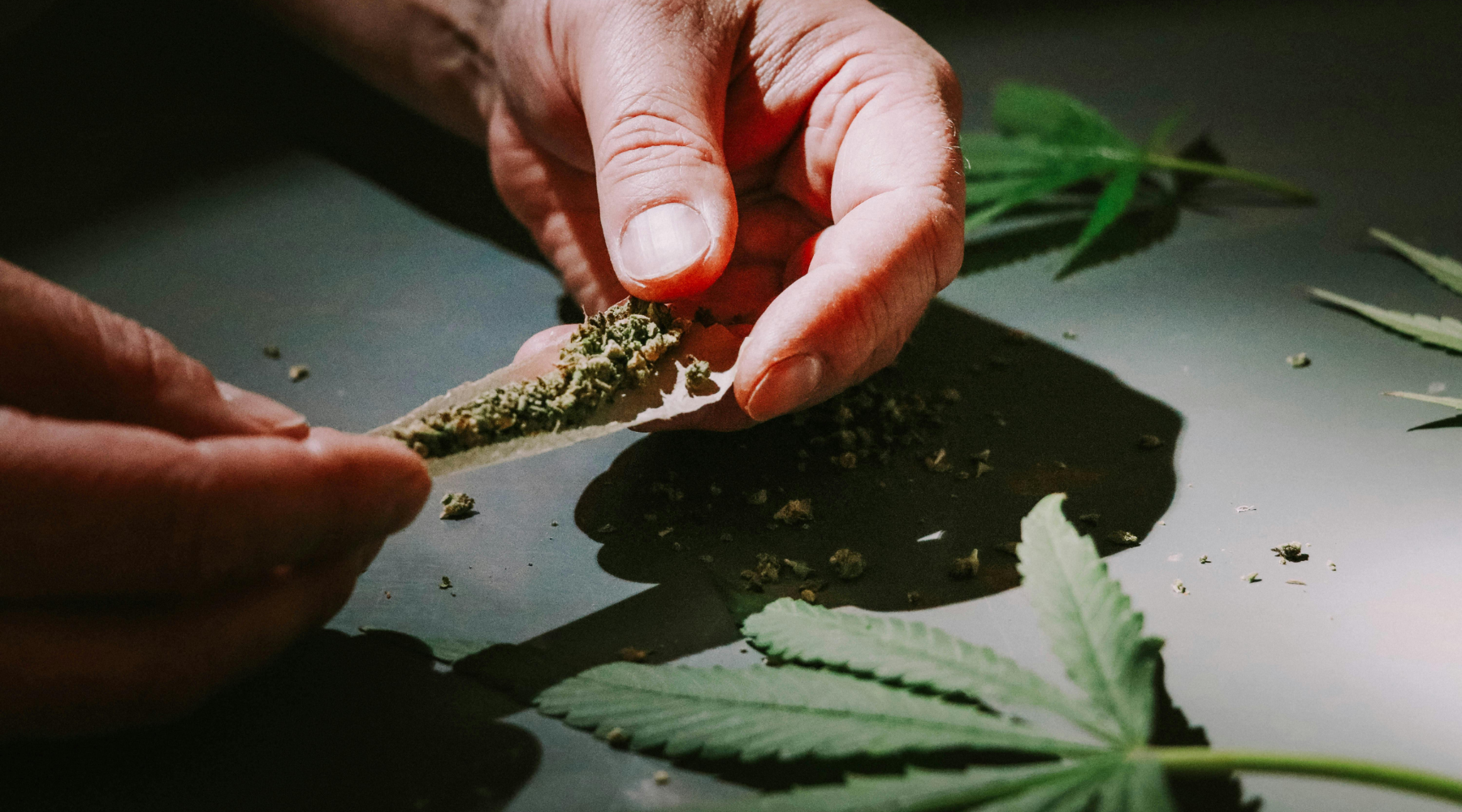 The Rise of THCA Flower: A New Trend in Cannabis Consumption