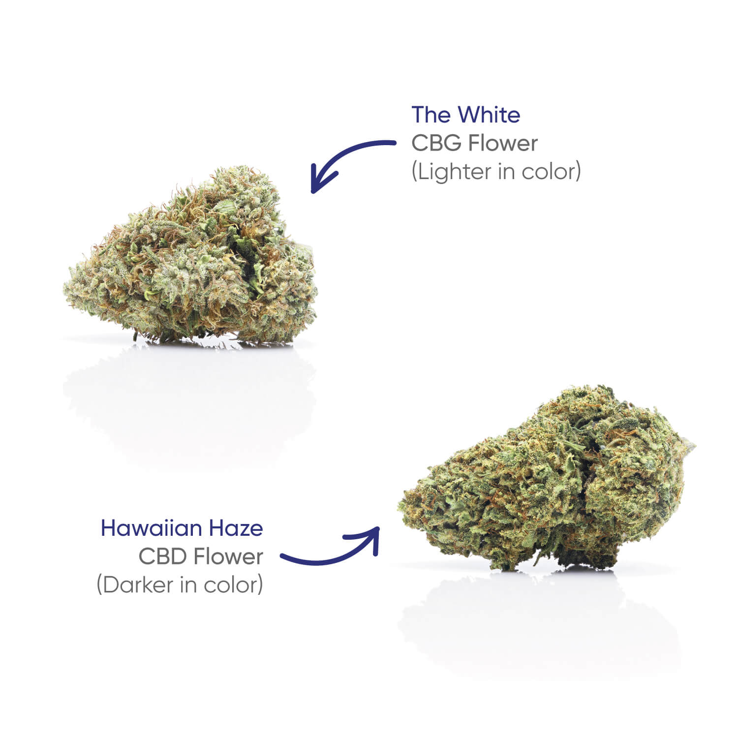 hhemp.co Flower Jar - CBG + Hawaiian Haze - H H HARVEST CO