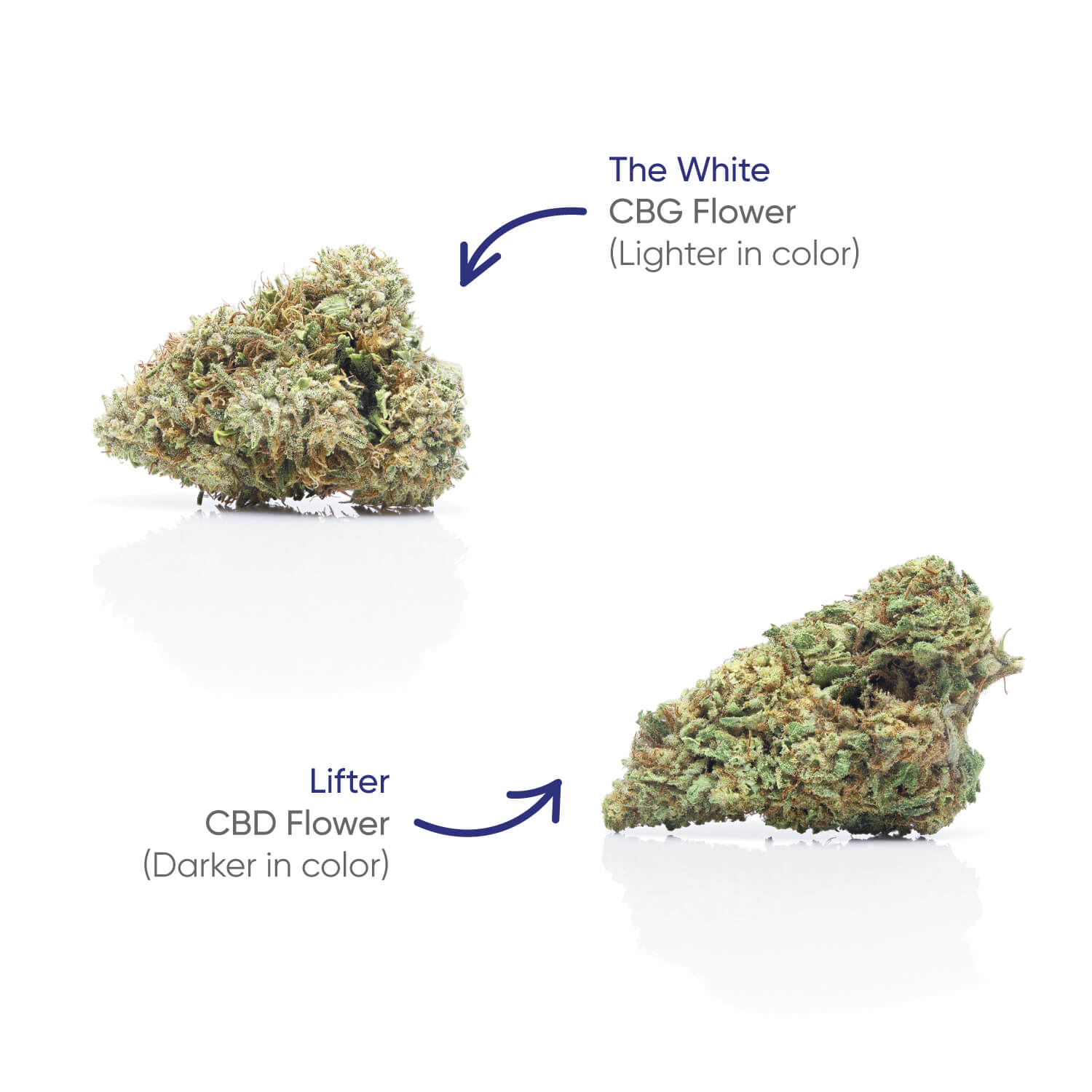 hhemp.co Flower Jar - CBG + Lifter - H H HARVEST CO