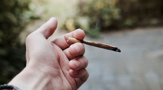 How Long Does THCp Stay in Your System? A Potent Cannabinoid with a Long Goodbye (2025 Guide)