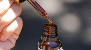 Adaptogen Gummies vs. Cannabinoid Tinctures: Which Plant-Powered Remedy Is Right for You? (2025 Guide)
