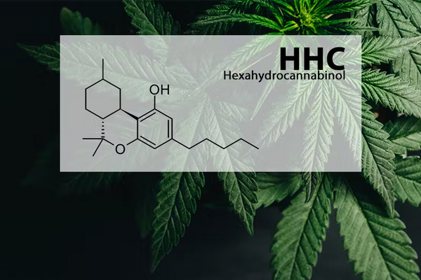 Everything You Need To Know About HHC