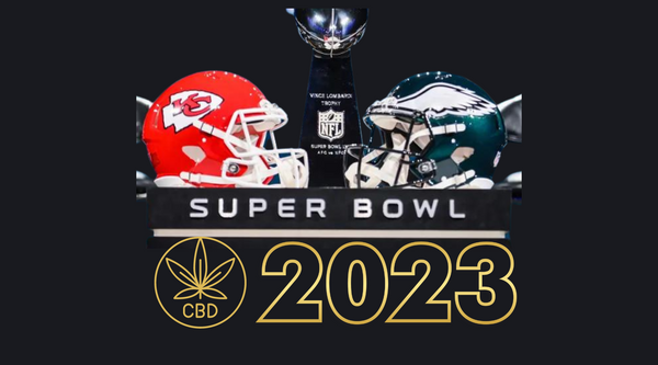 From Kickoff to Final Whistle: CBD for a Winning Super Bowl Experience