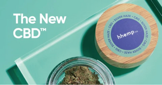 WHAT THE CBD? - MASTHEAD MAGAZINE