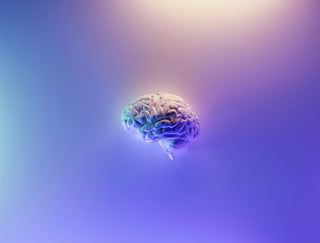 What the Research Says About Cannabinoids and Neuroprotection (2025 Guide)