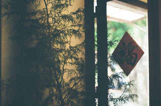 silhouette of trees during sunset