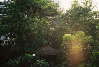 green trees near brown brick house during daytime