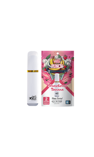 PUNCH THCa 2g Disposable - H H HARVEST CO