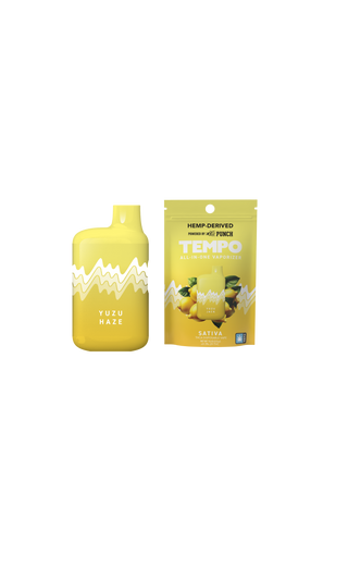 TEMPO THCa 1g Disposable - H H HARVEST CO
