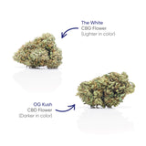 HH Flower Jar - CBG+OG Kush